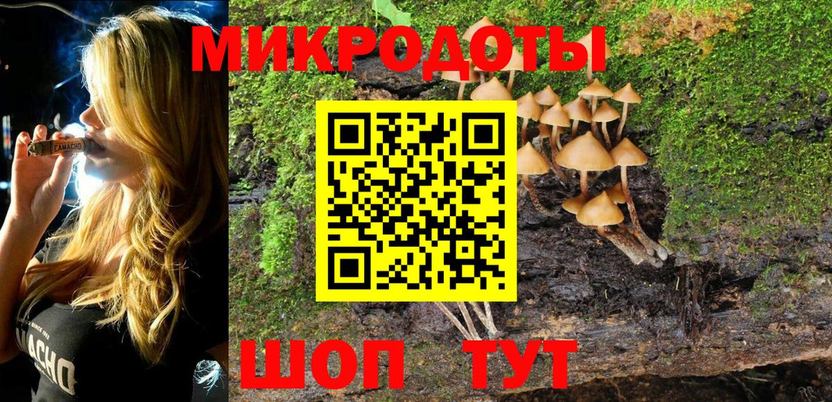 Псилоцибиновые грибы Psilocybe Усолье-Сибирское