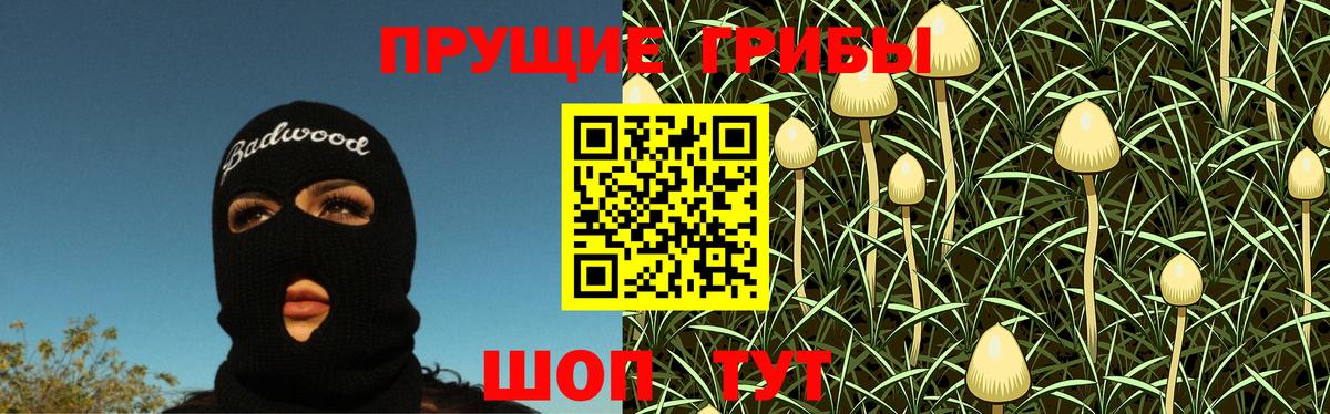 Галлюциногенные грибы Cubensis Усолье-Сибирское