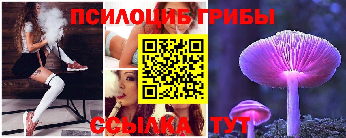 Псилоцибиновые грибы мицелий  Вход с VPN  Усолье-Сибирское 